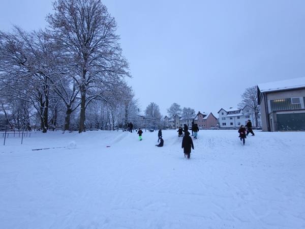 20260129_081413.jpg 20260129_081413.jpg