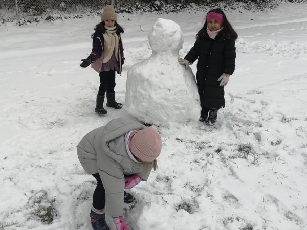 img_20260112_110313.jpg img_20260112_110313.jpg