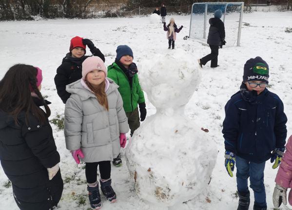 img_20260112_111835.jpg img_20260112_111835.jpg