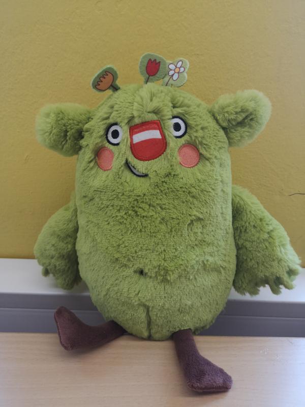 img_20260213_113105.jpg img_20260213_113105.jpg