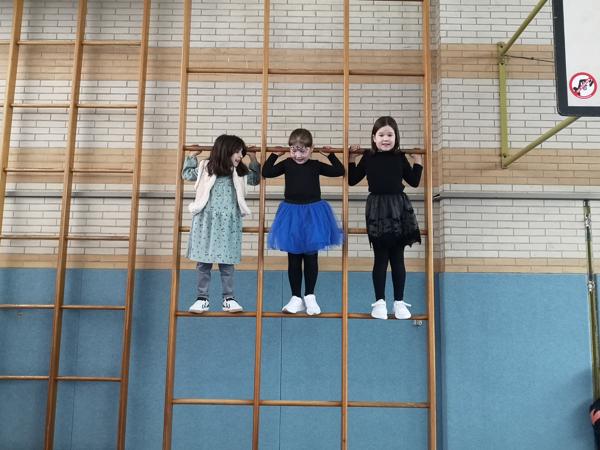 img_20260216_102826.jpg img_20260216_102826.jpg